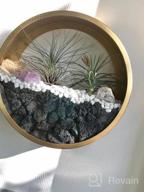 img 1 attached to Ecosides Round Indoor Wall Succulent Hanging Planter, Metal Decorative Freestanding Mount Holder With Glass For Air Plants, Faux Flower,Set Of 3 (White) review by Rob Clark
