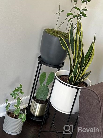 img 1 attached to Black Amazon Basics Plant Stand - Elevate Your Greenery! review by Richard Ahmar