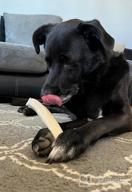 img 1 attached to Ultimate Chew Time: K9Warehouse Large Elk Antlers For Aggressive Dogs With Long-Lasting Odorless Whole Antler Chews review by Eric Webb