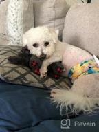 img 1 attached to Washable Male Dog Belly Wraps: Keep Your Pup Clean And Mess-Free With CuteBone Diapers (DM07XS) review by Andy Quade