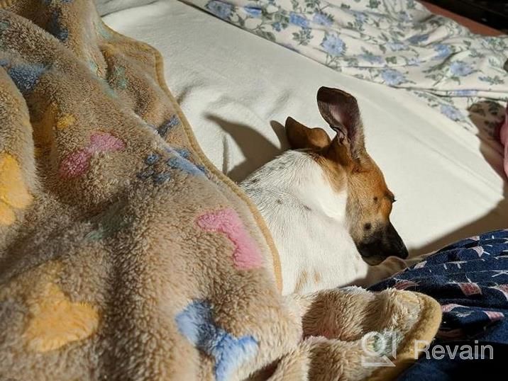 img 1 attached to Keep Your Furry Friend Cozy With Dono'S 3 Soft Fluffy Fleece Dog Blankets - Perfect For Sleep, Play, And Snuggles! review by Tom Lawson