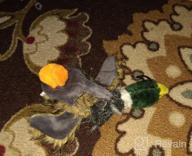 img 1 attached to Wangstar Mallard Duck Dog Toy - Squeaky, Plush And Perfect For Small To Medium Sized Dogs! review by Scott Carlile