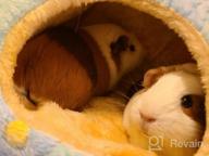 img 1 attached to Cozy Habitat Nesting Bed For Small Animals - Perfect For Guinea Pigs, Hamsters, Hedgehogs, Rats, And Chinchillas - Soft Snuggle Sack With Removable Washable Mat - Brown review by Jacob Brooks