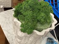 img 1 attached to Chartreuse Preserved Stardom Moss - Perfect For Fairy Gardens, Terrariums, Craft Projects & Weddings (3OZ) review by Bill Escobar