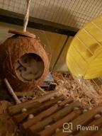 img 1 attached to KATUMO Natural Wooden Hamster Toys With Coconut Hideout, Bridges, And Ladder For Small Animal Climbing And Bedding review by James Vachon