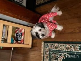 img 5 attached to 🐾 KYEESE Polka Dot Dog Pajamas: Soft & Stretchable Material | Onesie Style Velvet PJs for Small and Medium Dogs
