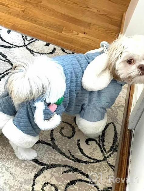 img 1 attached to Soft Cotton Pet Jumpsuit In Cute Rabbit Style - Winter Warm Puppy Pajamas For Small To Medium Dogs And Cats, Boy Or Girl - XS Size - SGQCAR review by Abdulkarim Sugge