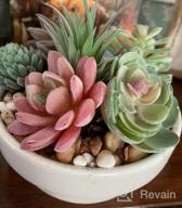 img 1 attached to 12 Pcs Unpotted Faux Succulent Plants - Small Plastic Assortment For Craft, Party Decor & Garden Outdoor review by Mariealphonse Seattle