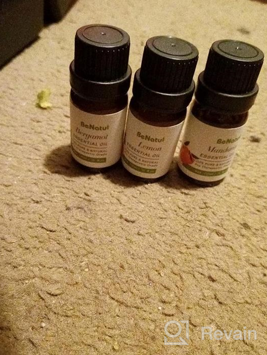 img 1 attached to Premium Fragrance Essential Oil Set For Diffusers - Vanilla, Citrus, And Jasmine Scents - Perfect For Gifting, Home, Candle And Soap Making, And Bath Time Relaxation - By Benatu review by Mario Hernandez