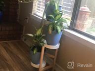 img 1 attached to 3 Tier Bamboo Plant Stand - Elegant Corner Display Holder For Indoor And Outdoor Garden, Home Decor And Plant Display Rack (3 Tier - 1) review by Brandon Havlicek