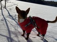 img 1 attached to Didog Winter Small Dog Coats: Waterproof, Warm & Harness Compatible For Puppy & Cat Walking Hiking - Red (Chest 13") review by Josh Kim