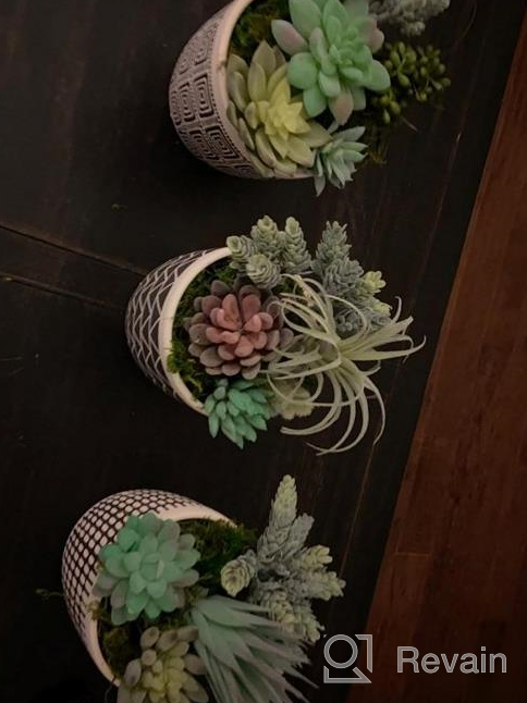 img 1 attached to 14 Pcs Artificial Succulents Plants Unpotted Green Hops String Of Pearls Echeveria Air Plant Picks Bulk For Garden Arrangement Centerpiece Indoor Outdoor Home Decor review by Dakota Tailor