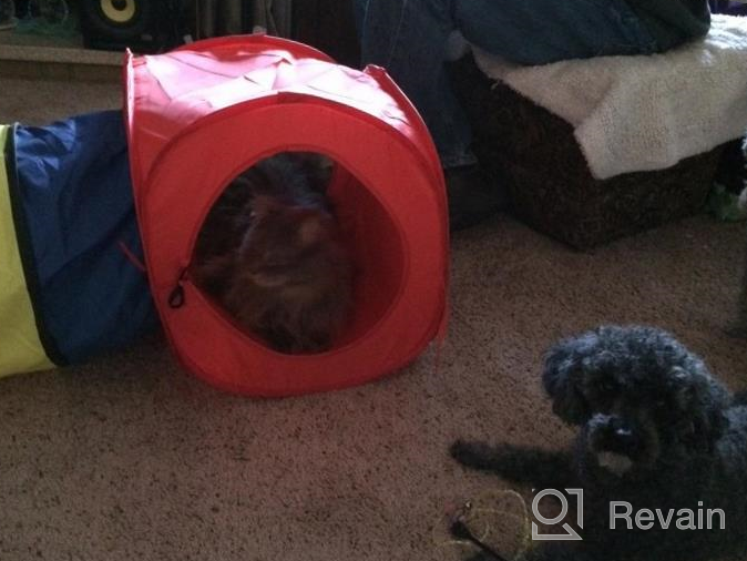 img 1 attached to Pop-Up Play Tunnel For Cats In Blue With Rainbow Design - Collapsible Cubes, Pack Of 1 review by Thomas Silva