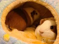 img 1 attached to HOMEYA Guinea Pig Bed, Hamster Hideout Small Animal Cage Accessories Supplies, Semi-Enclosed Winter Christmas Large Pumpkin Nest With Removable Mat For Rat Hedgehog Sugar Glider And Chinchilla-Yellow review by Christopher Shavers