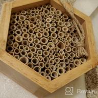 img 1 attached to Boost Your Garden'S Pollination With KIBAGA'S Handmade Bamboo Mason Bee House - A Haven For Productive And Peaceful Bee Pollinators! review by Charles Stennis