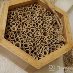 img 8 attached to Boost Your Garden'S Pollination With KIBAGA'S Handmade Bamboo Mason Bee House - A Haven For Productive And Peaceful Bee Pollinators!