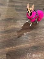 img 1 attached to Didog Winter Small Dog Coats: Waterproof, Warm & Harness Compatible For Puppy & Cat Walking Hiking - Red (Chest 13") review by Corey Slivinsky