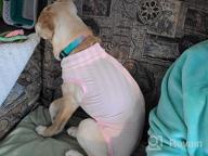 img 1 attached to Pink MIGOHI Dog Recovery Suit For Summer: Cooling, Anti-Licking Protection For Wounds, Skin Disease And Surgery Aftercare - E-Collar And Cone Alternative - Size L review by Jelani Weaver