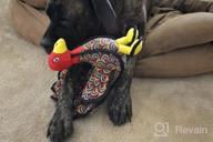 img 1 attached to TUFFY - World'S Tuffest Soft Dog Toy - Barnyard Turkey - Squeakers - Multiple Layers. Made Durable, Strong & Tough. Interactive Play (Tug, Toss & Fetch). Machine Washable & Floats. (Regular) review by Josh Allred