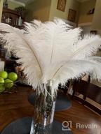 img 1 attached to 10Pcs Pink Ostrich Feathers Bulk 12-14Inch - Perfect For Christmas, Halloween & Wedding Decorations! review by Marcus Hussain