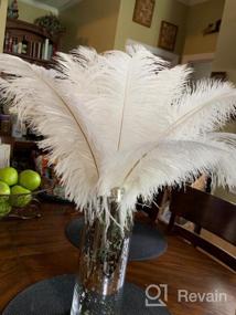 img 6 attached to 10Pcs Pink Ostrich Feathers Bulk 12-14Inch - Perfect For Christmas, Halloween & Wedding Decorations!