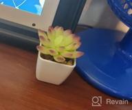 img 1 attached to 4Pcs Mini Plastic Succulents For Christmas Home Decor - Veryhome Artificial Faux Plants review by Zachary Pete