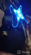 img 1 attached to WINSEE Reflective LED Dog Harness For Night Walking, USB Rechargeable No-Pull Dog Vest Adjustable 7-Mode Light Up Dog Harness For Small, Medium, Large, And Extra-Large Dogs (Large) review by Luis Estrella