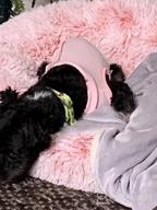 img 1 attached to Pink MIGOHI Dog Recovery Suit For Summer: Cooling, Anti-Licking Protection For Wounds, Skin Disease And Surgery Aftercare - E-Collar And Cone Alternative - Size L review by Antonio Scisson