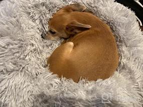 img 8 attached to Расслабляющая круглая кровать-пончик для беспокойных собак бирюзово-голубого оттенка, мягкая плюшевая кровать из искусственного меха, которую можно стирать в машине, для маленьких собак и кошек с нескользящим дном