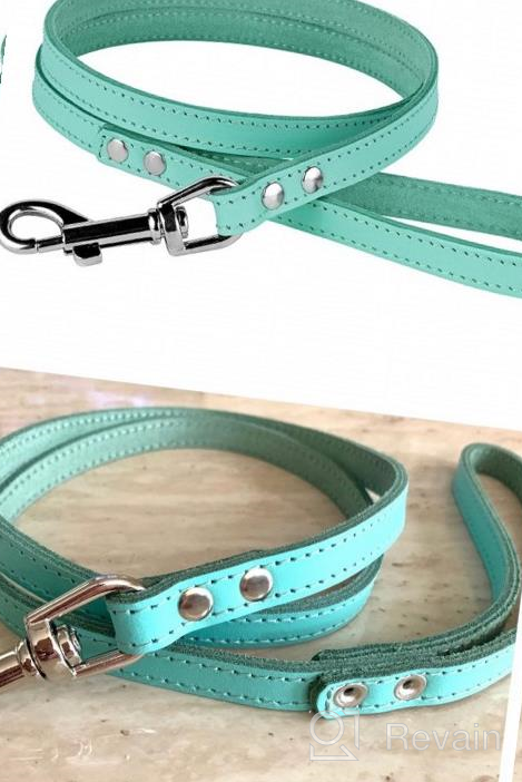 img 1 attached to BronzeDog Heavy Duty Leather Dog Leash In Blue - 4Ft Training Lead For Small To Large Dogs review by Anthony Record