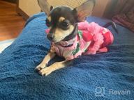 img 1 attached to KYEESE Floral Rose Dog Dresses with Flowers Decoration - Elegant Princess Dress for Small Dogs, Ideal for Spring and Summer - Puppy Apparel and Pet Clothing review by Antonio Liberty