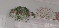 img 1 attached to Small Artificial Hanging Plants Decor With Pot - Faux Eucalyptus Greenery Vines For Indoor And Outdoor Home Décor, FUNARTY Fake Plants Set Of 3 review by Tony Meyer