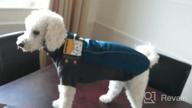 img 1 attached to RUFFWEAR Cloud Chaser Waterproof Insulated Jacket For Dogs - Obsidian Black, Large review by Michelle Wilson