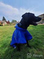 img 1 attached to Waterproof Dog Raincoat With Adjustable Belly Strap, Leash Hole & Reflective Strip - Lightweight Breathable Hoodie Jacket For Medium Large Dogs - Easy To Wear review by Black Holstead