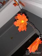img 1 attached to Remote Control 20 LED Maple Light String - 8 Modes For Room Decor, Parties & Outdoors review by Marvin Nadeau