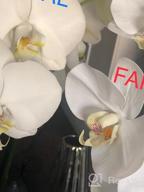 img 1 attached to SHACOS Artificial Orchid Stems Set Of 3 PU Real Touch Orchid Big Blooms Fake Phalaenopsis Flower Home Wedding Decoration (3 PCS, Blue) review by Sean Andrews