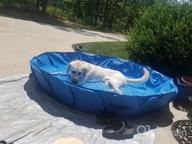 img 1 attached to Alvantor Foldable Portable Dog Bathing Tub- Perfect For Indoor And Outdoor Use review by Andy Tran