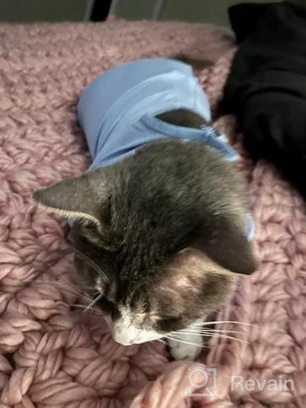 img 1 attached to Professional Cat Surgical Recovery Suit: Anti-Licking, Skin Disease Protection & Abdominal Wound Care For Male/Female Dogs review by Issac Burnett