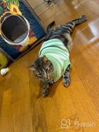 img 1 attached to High Stretch And Soft Striped Kitty Sweater For Cats And Small Dogs - Evursua Knitwear For Male And Female Pets (S, Blue) - Keeping Them Warm And Fashionable review by John Fuentes