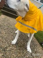 img 1 attached to 🐶 Protective Pet Gear: NINEMAX Dog Raincoat with Reflective Strip for Medium-Large Dogs review by Dan Venegas