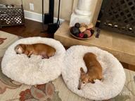 картинка 1 прикреплена к отзыву Cozy And Warm Self-Heating Cat Bed - XZKING Donut Cuddler For Small Dogs And Cats, Washable And Anti-Anxiety от Drew Beckett