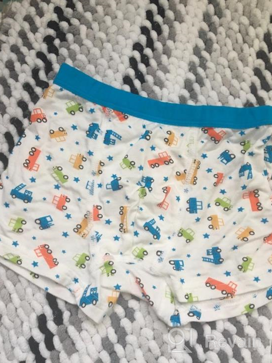 img 1 attached to Dinosaur Boys' Clothing: CC Dame Toddler Underwear review by Phil Prater