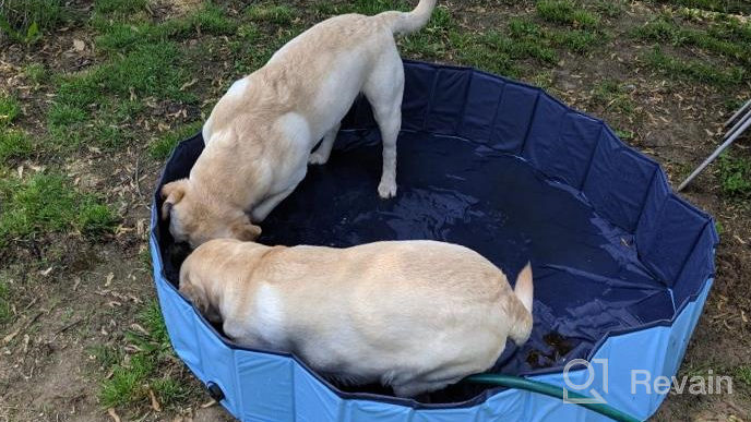 img 1 attached to 🐶 Jasonwell Foldable Dog Pet Bath Pool - Collapsible Kiddie Pool for Dogs, Cats, and Kids (48inch.D x 11.8inch.H, Grey) review by Richard Eledge