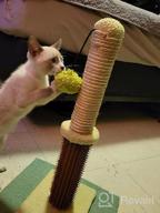 img 1 attached to Sturdy Double Base Plate Cat Scratching Post With Self Groomer - Ideal For Indoor Kittens, Jaoul 21 Design review by Ryan Cornelius