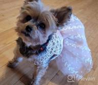 img 1 attached to CuteBone DW02L: Pretty Pink Summer Dog Dress With Harness D-Ring And Bow Hair Rope For Small Dogs And Puppies review by Corey Nyuon
