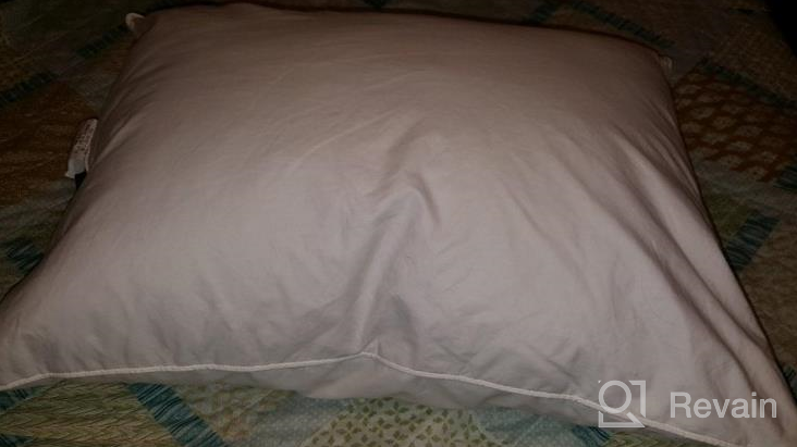 img 1 attached to Hotel Collection King Size Pillows For Sleeping - Set Of 2 Medium Firm Goose Feather And Polyester Bed Pillows With Silver Piping By Puredown® review by John Arsov