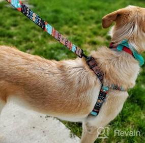 img 5 attached to Adjustable Tribal Pattern Dog Harness For Comfortable And Stylish Outdoor Walking - CollarDirect (Medium, Aquamarine)