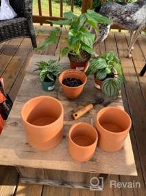 img 7 attached to Set Of 3 POTEY Terracotta Planters With Drainage Hole And Saucer - 6 Inch, 5 Inch, And 4 Inch Cylindrical Indoor Flower Containers - Unglazed Clay Pots Perfect For Plants - Model Number 222231