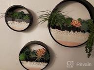 img 1 attached to Ecosides Round Indoor Wall Succulent Hanging Planter, Metal Decorative Freestanding Mount Holder With Glass For Air Plants, Faux Flower,Set Of 3 (White) review by Maurice Rivera