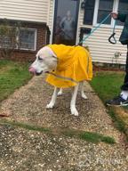 img 1 attached to Stay Stylish And Safe In The Rain With NINEMAX Dog Raincoat - Adjustable Pet Jacket With Reflective Strip For Medium To Large Dogs review by Ricardo Anderson